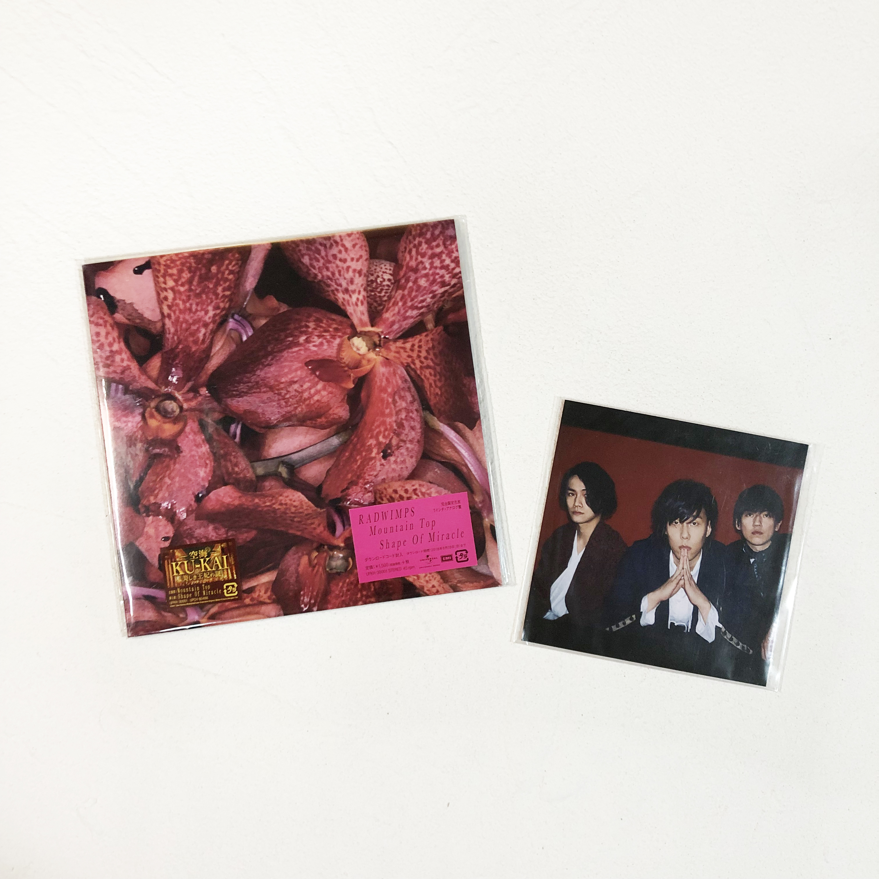 Spot Radwimps Mountain Top Shape of Miracle 7 inch black glue LP