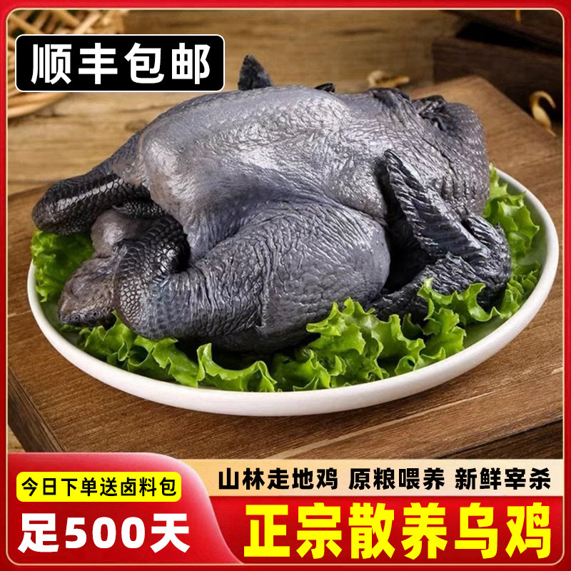 乌骨鸡和五黑鸡有什么区别?它们的营养价值有何不同?-整鸡整鸡制品-淘宝好物网