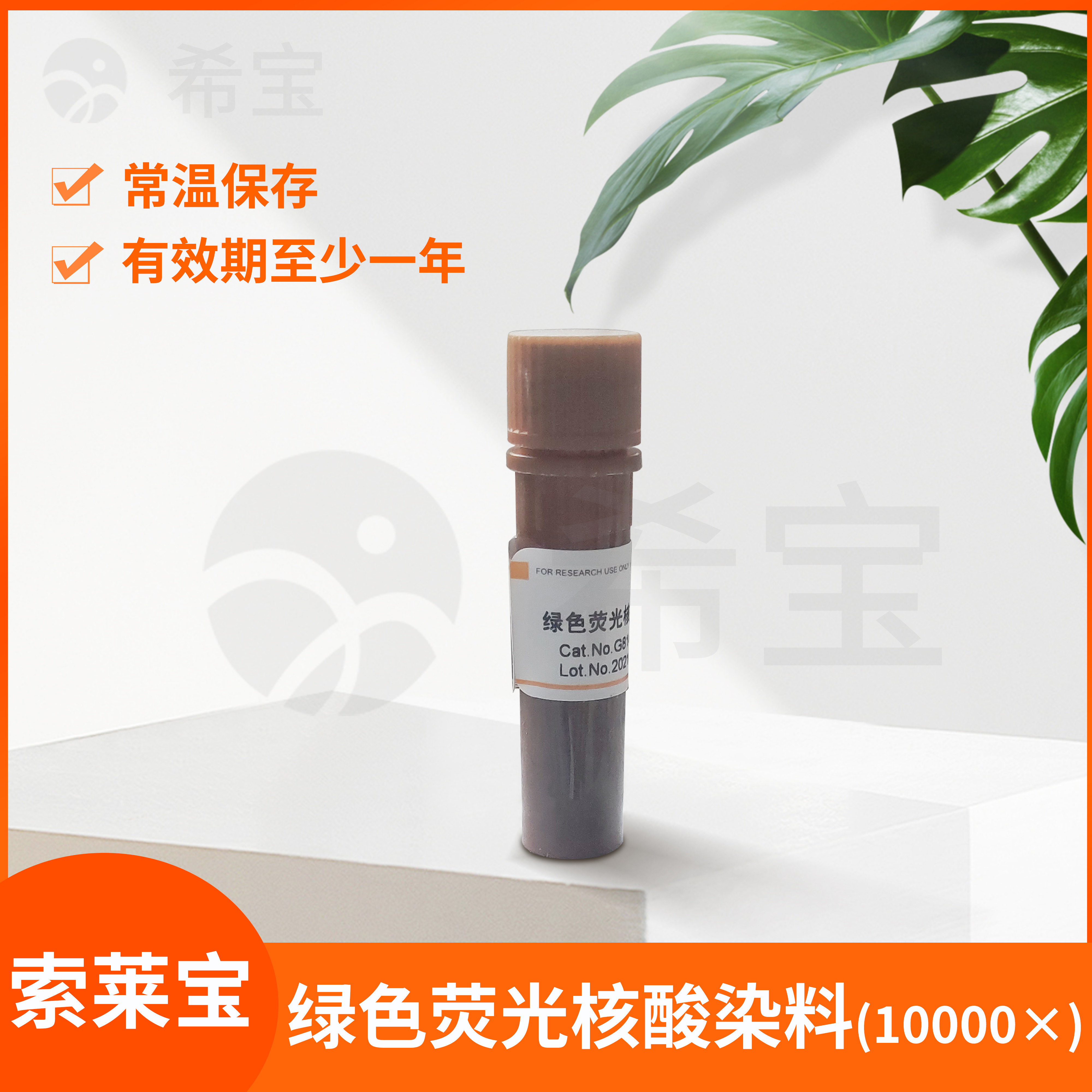 绿色荧光核酸染料(10000x)替代EB索莱宝Goldview II型核酸染色剂
