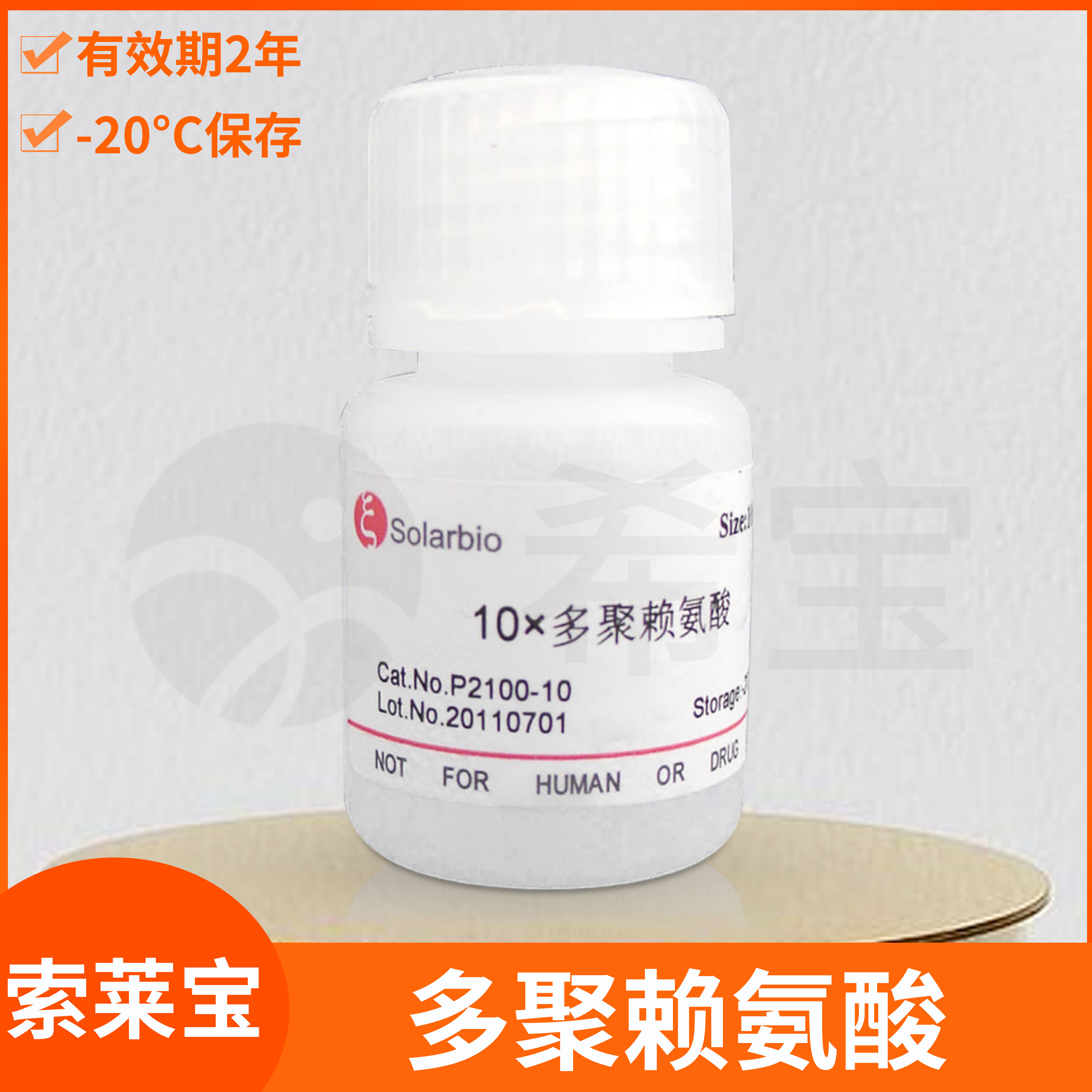 Solarbio索莱宝10x多聚赖氨酸Poly-L-lysine Solution聚合物PLL