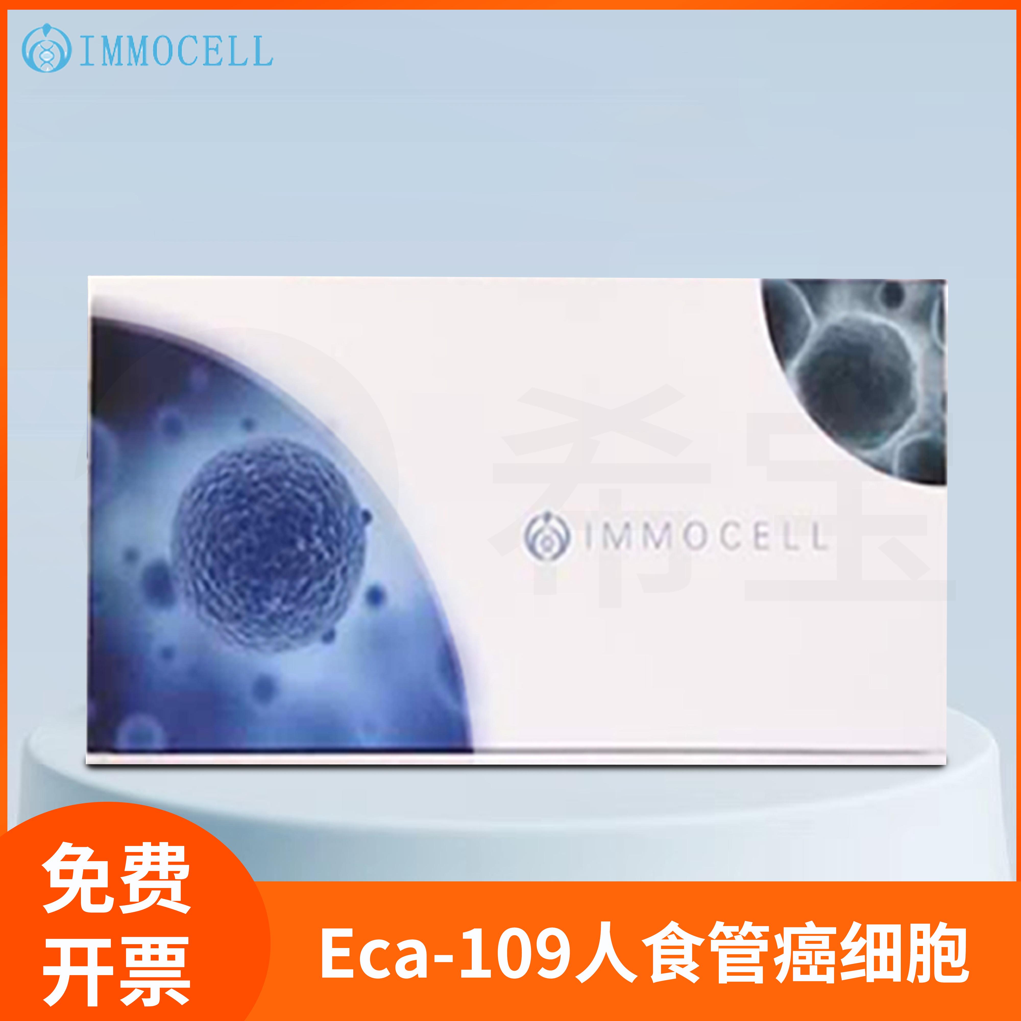 Eca-109人食管细胞(STR鉴定正确)Human Esophageal Cancer Cells