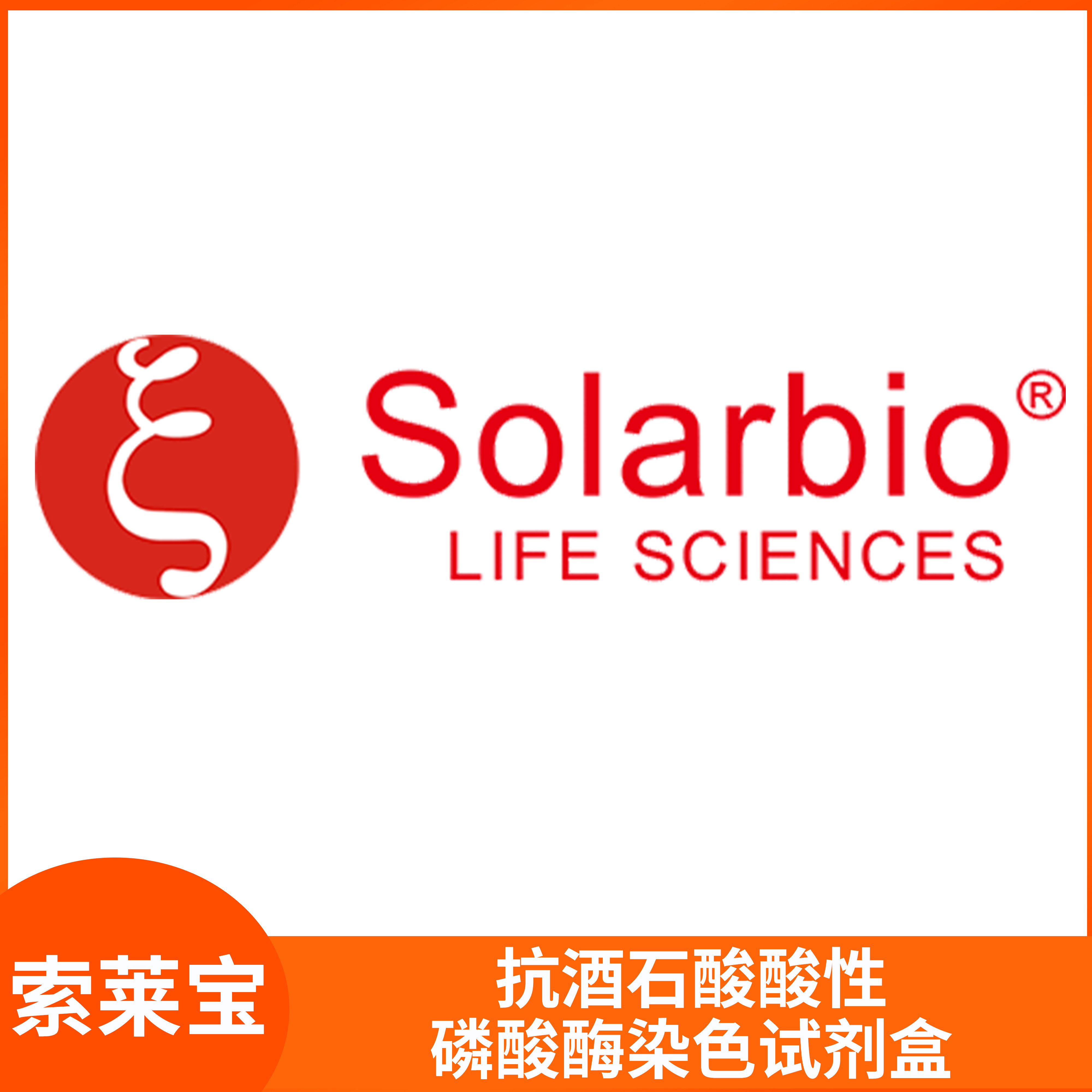 抗酒石酸酸性磷酸酶染色试剂盒Solarbio血液细胞涂片TRAP染色溶液