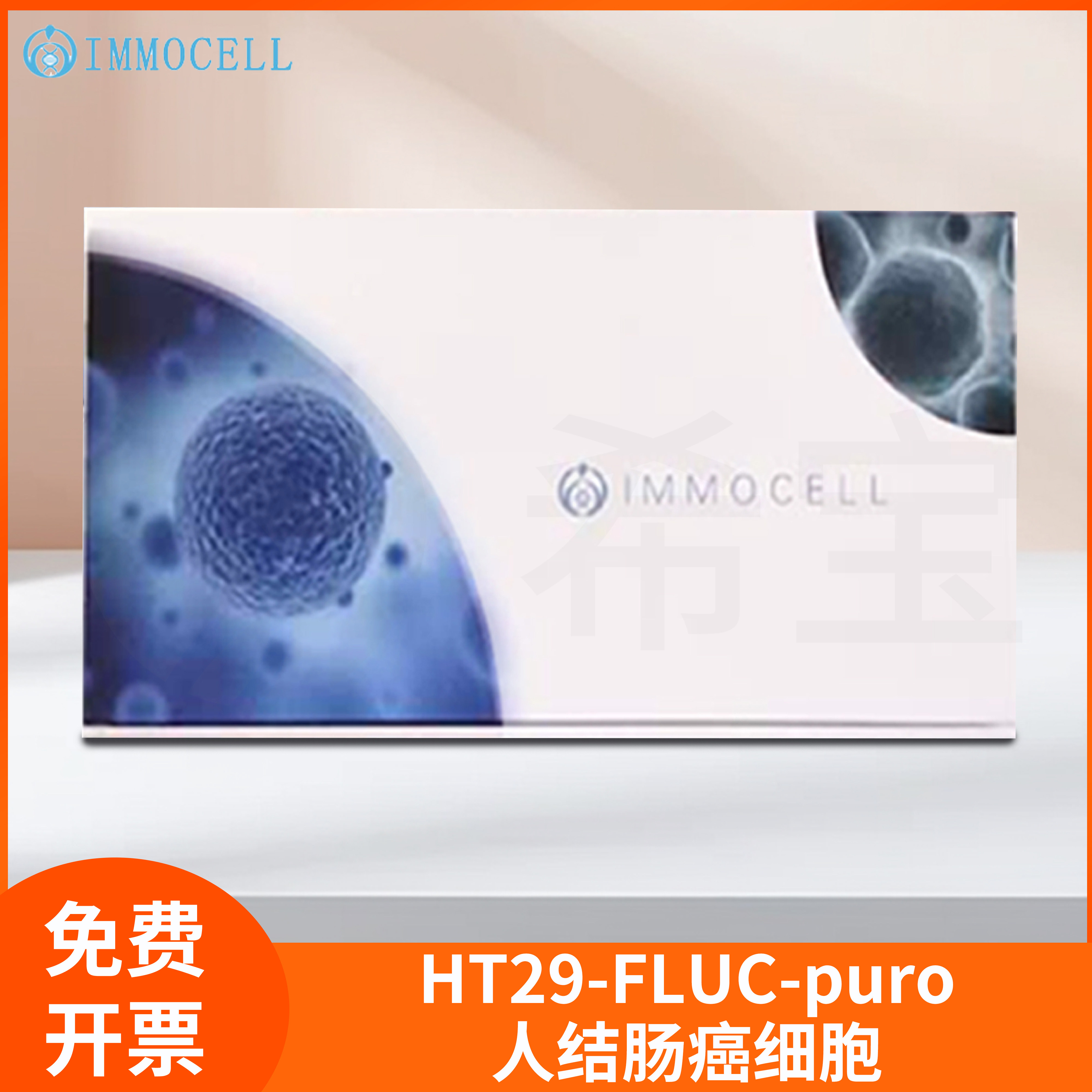 HT29-FLUC-puro人结肠细胞FLUC标记HT29-LUC 人结肠细胞-LUC逸漠