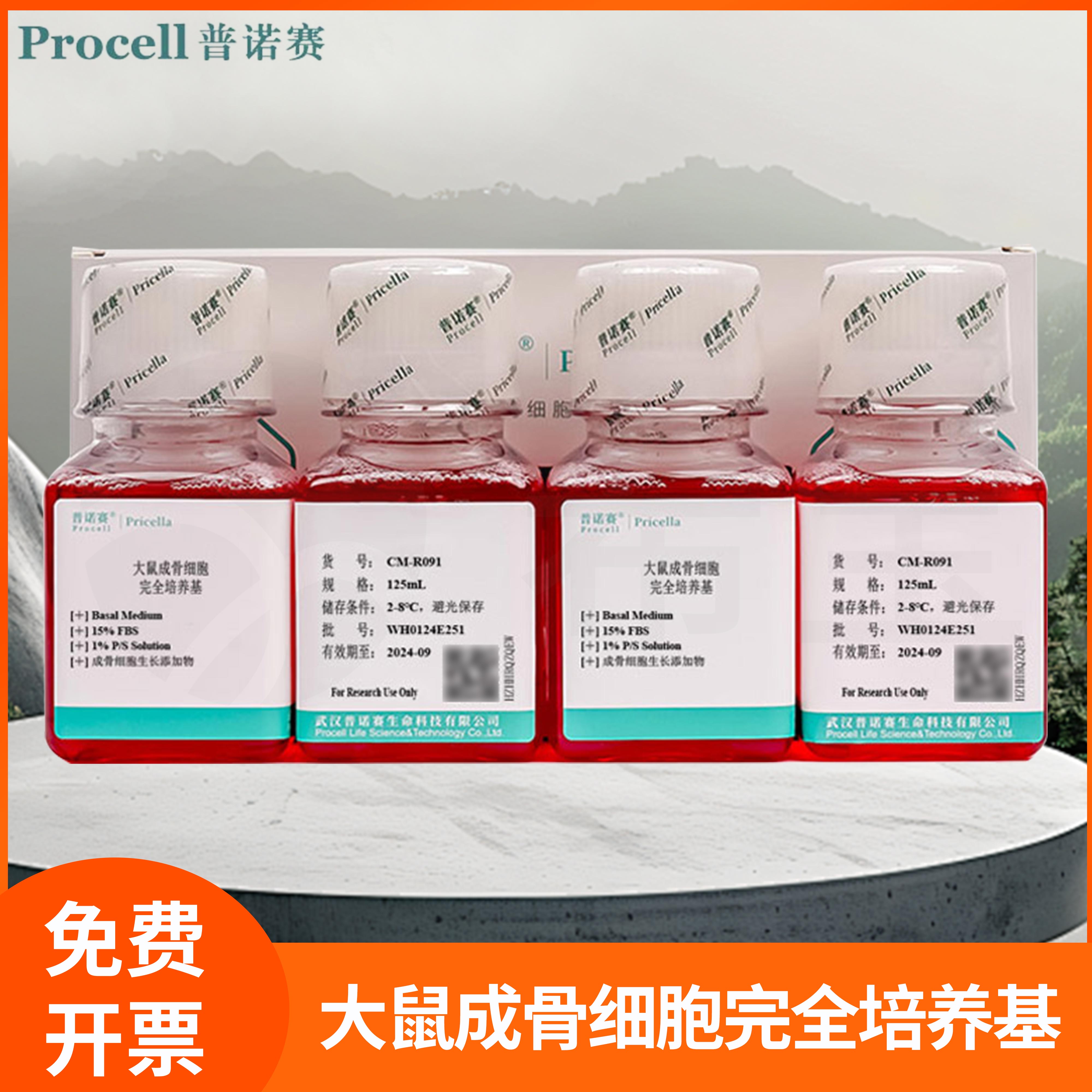 普诺赛成骨细胞体外培养液Basal Medium大鼠成骨细胞完全培养基