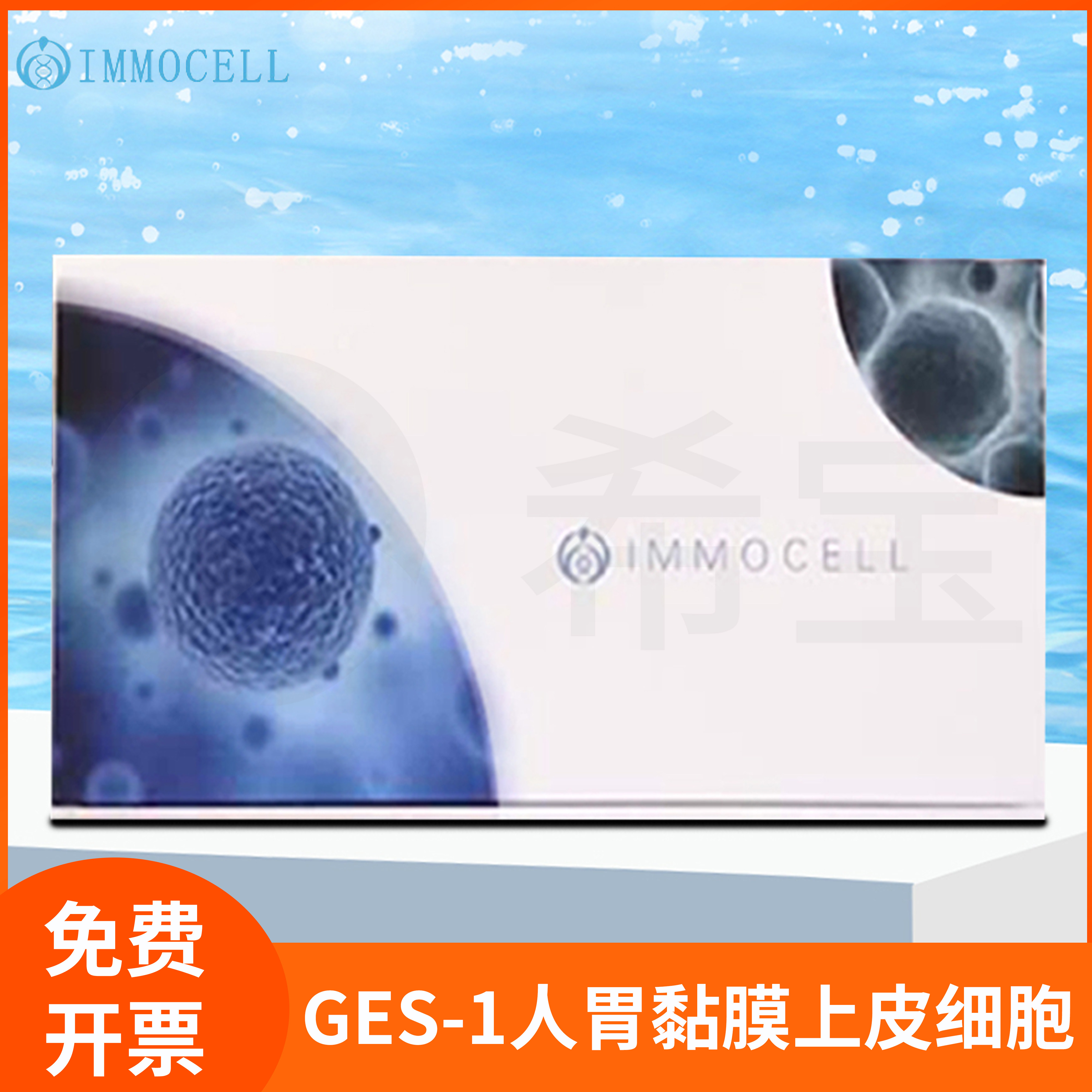 逸漠GES1胃粘膜细胞培养试剂GES-1人胃黏膜上皮细胞(STR鉴定正确)