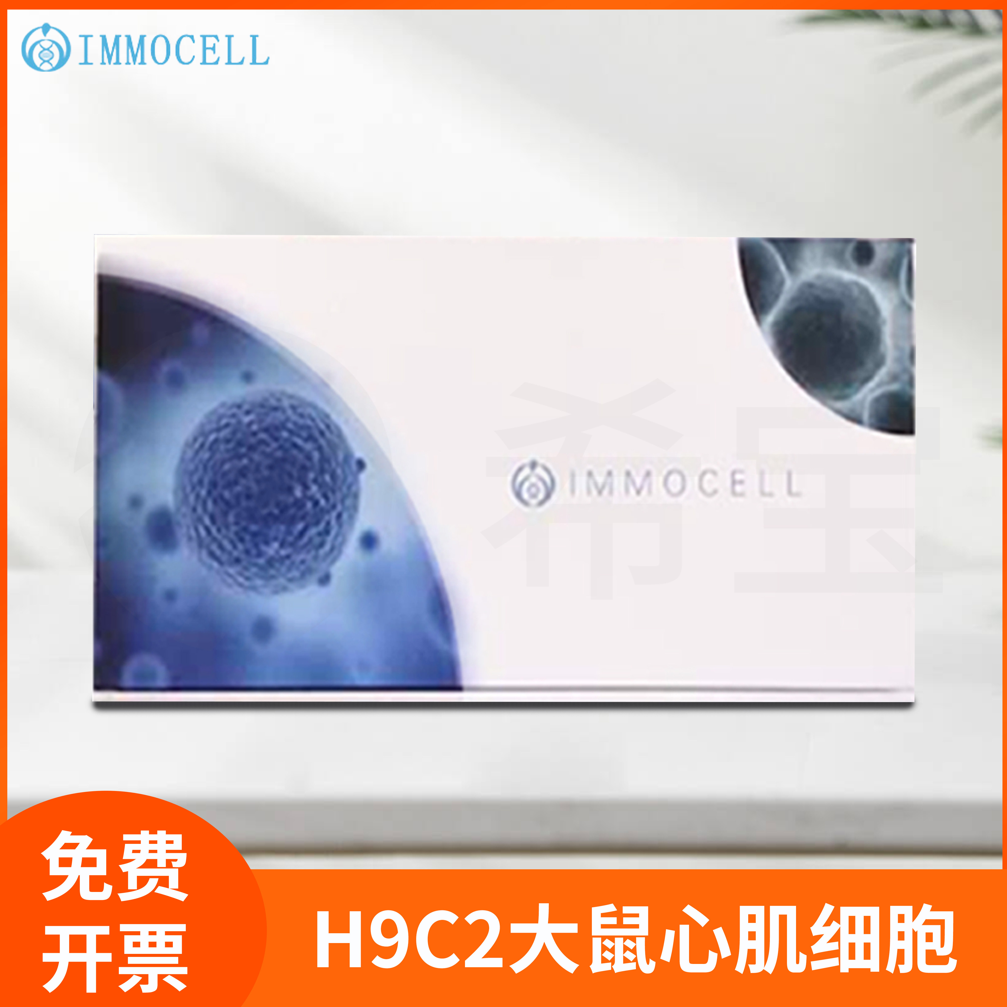 H9C2大鼠心肌细胞(种属鉴定正确)Rat Cardiomyocytes Cells逸漠