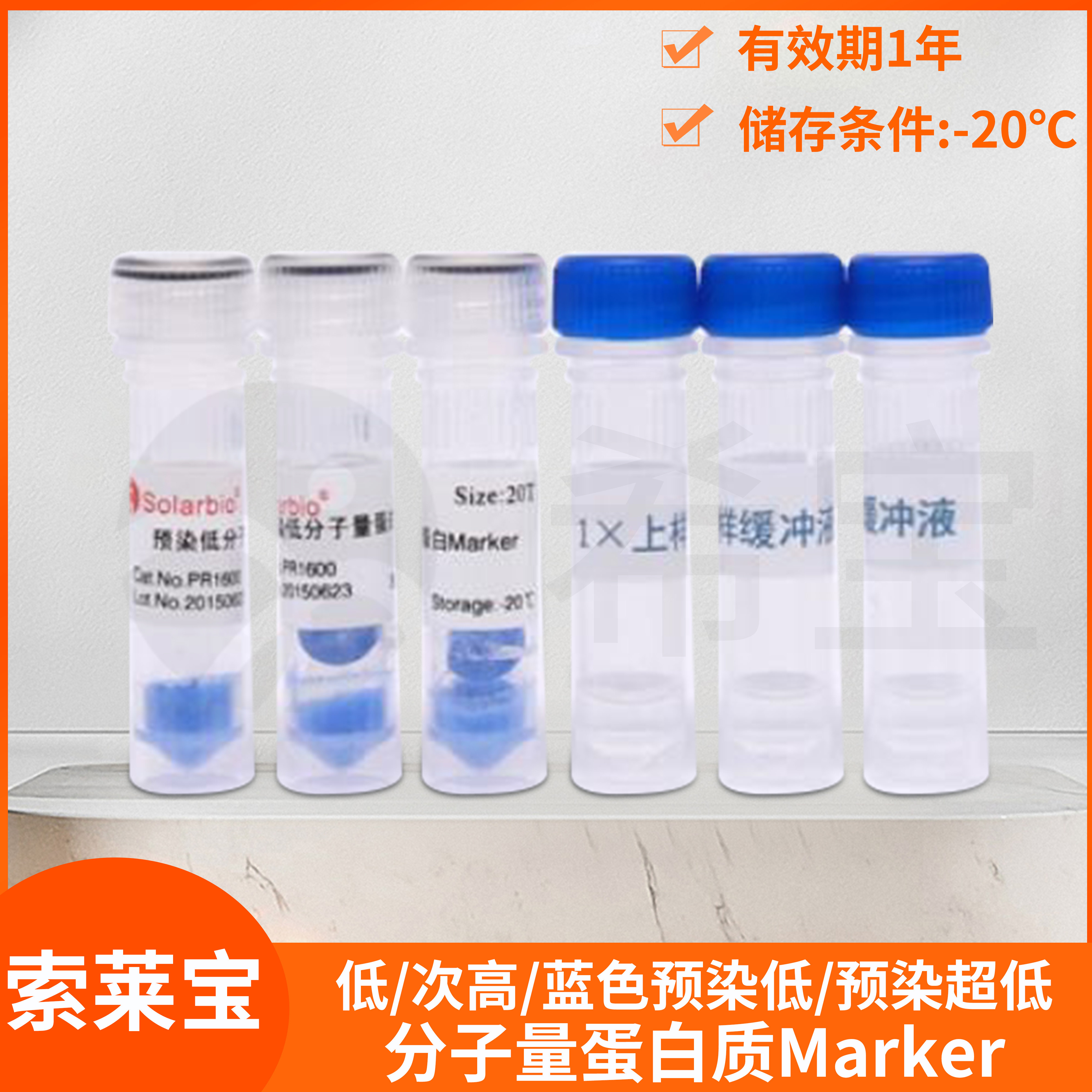 索莱宝低蓝色预染超低次高分子量蛋白质Marker SDS-PAGE凝胶电泳