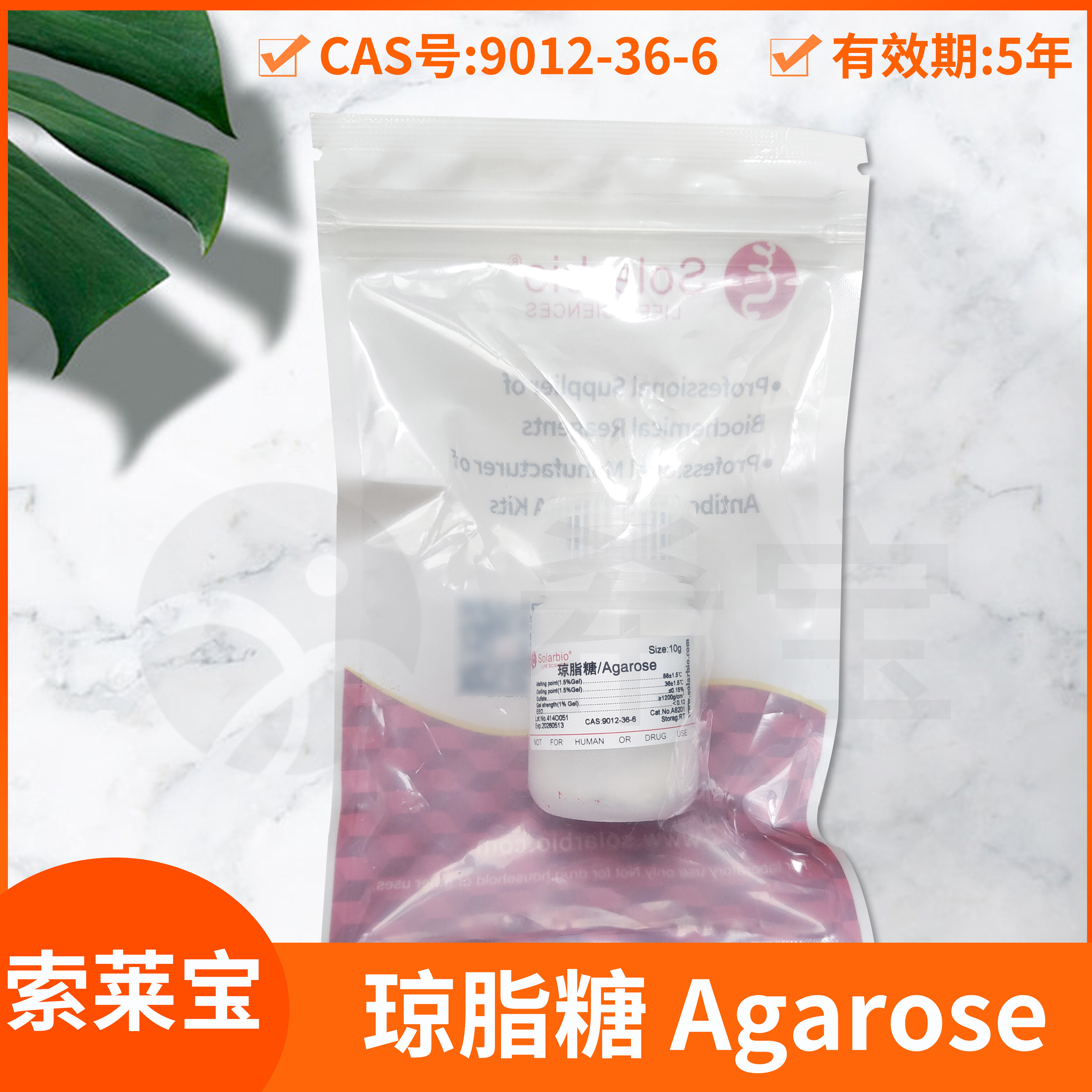 Solarbio索莱宝低熔点琼脂糖Agarose(Low melting gel)AG琼胶糖