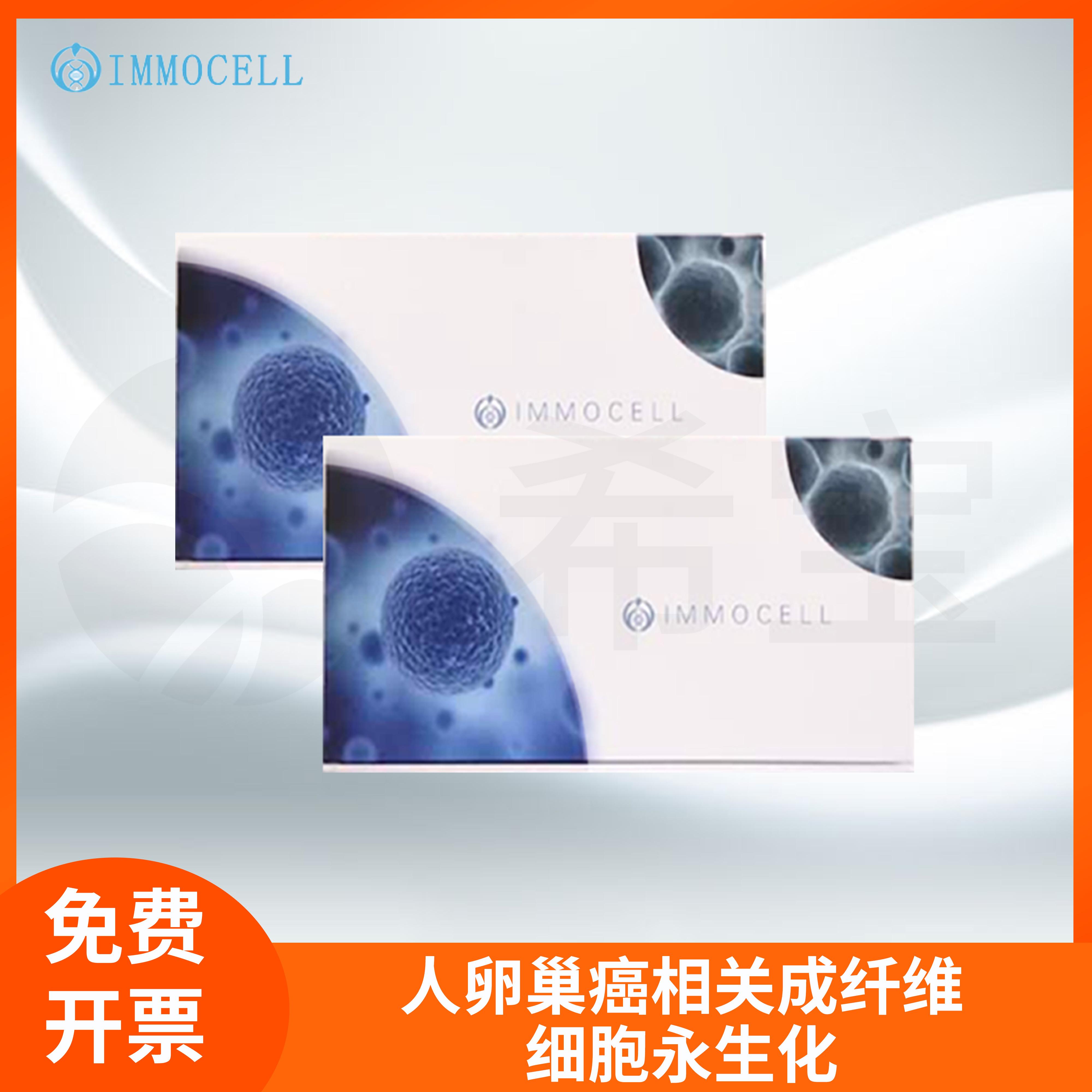 逸漠卵巢细胞鉴定试剂人卵巢相关成纤维细胞永生化(免疫荧光鉴定)