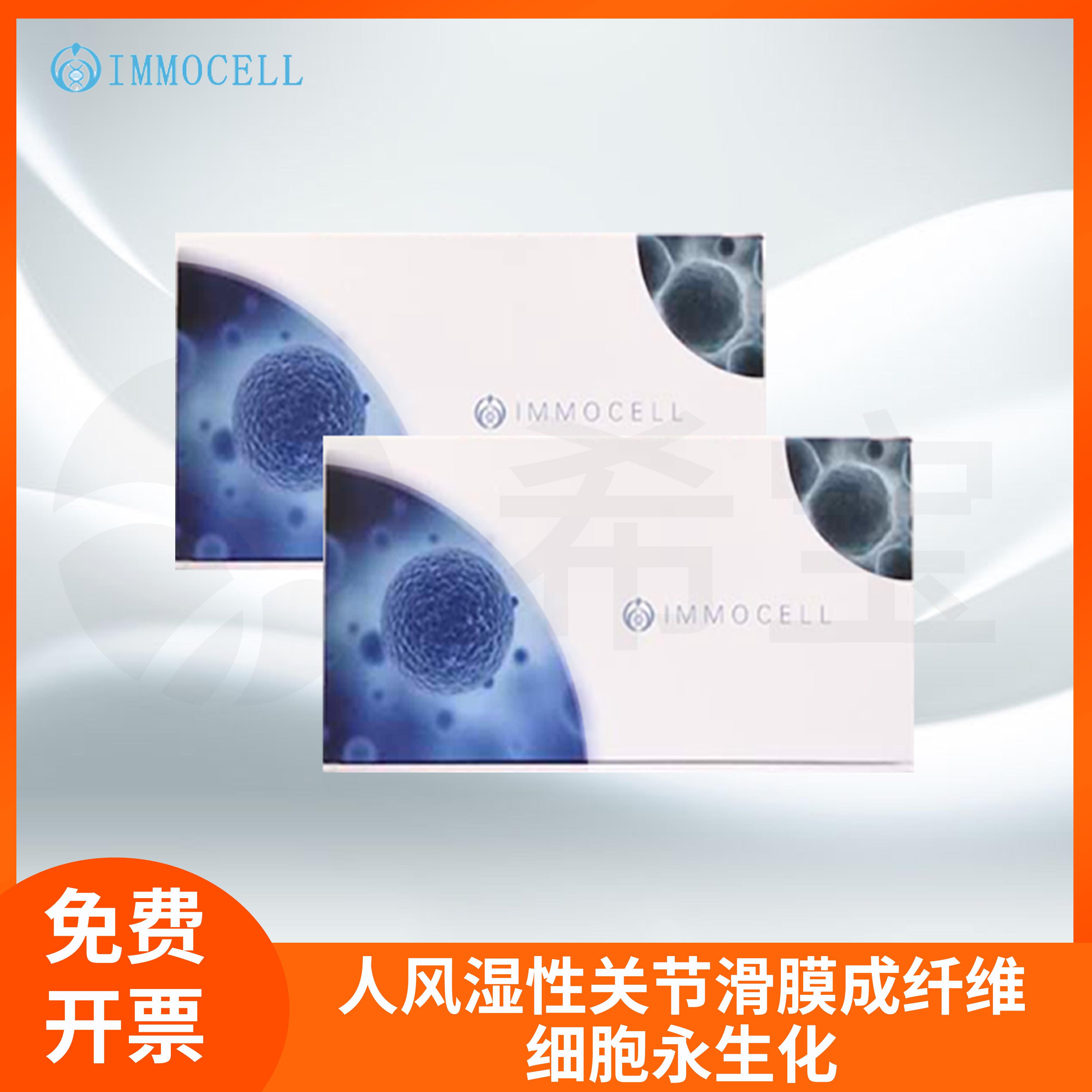 逸漠纤维细胞株人风湿性关节滑膜成纤维细胞永生化(免疫荧光鉴定)