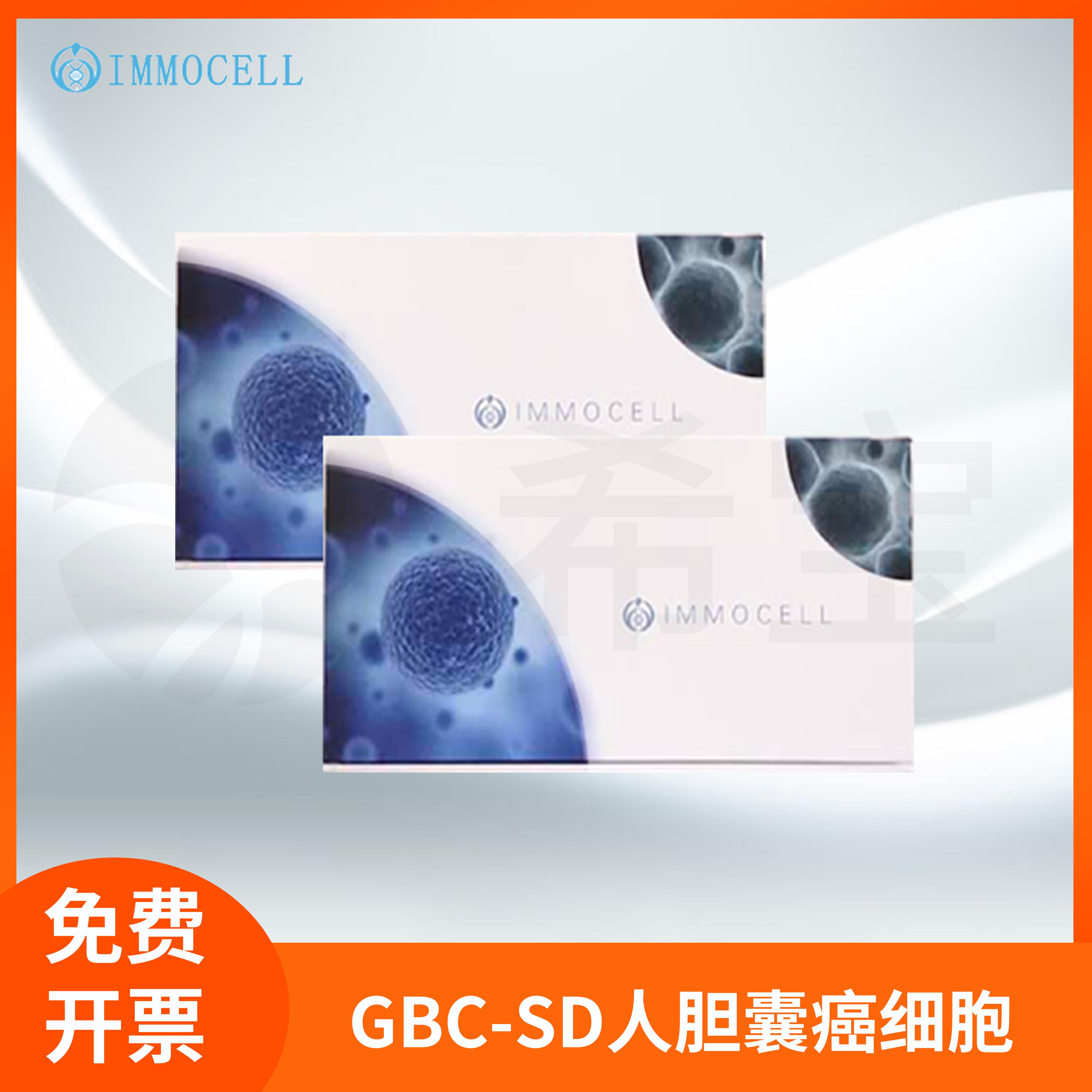 IMMOCELL/逸漠胆囊细胞鉴定GBC-SD人胆癌细胞(STR鉴定正确)