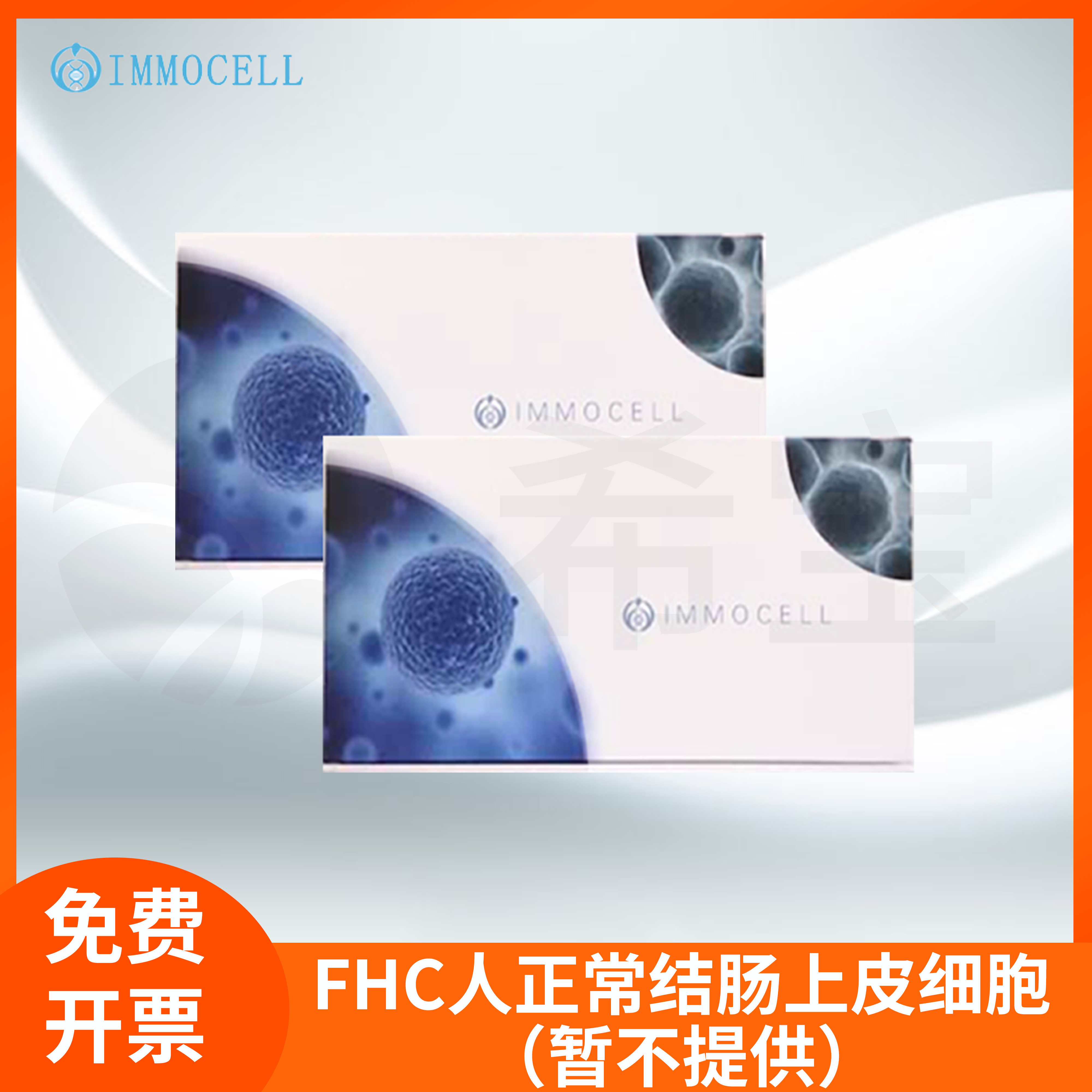 FHC人正常结肠上皮细胞(STR鉴定正确)结肠细胞培养液IMMOCELL逸漠