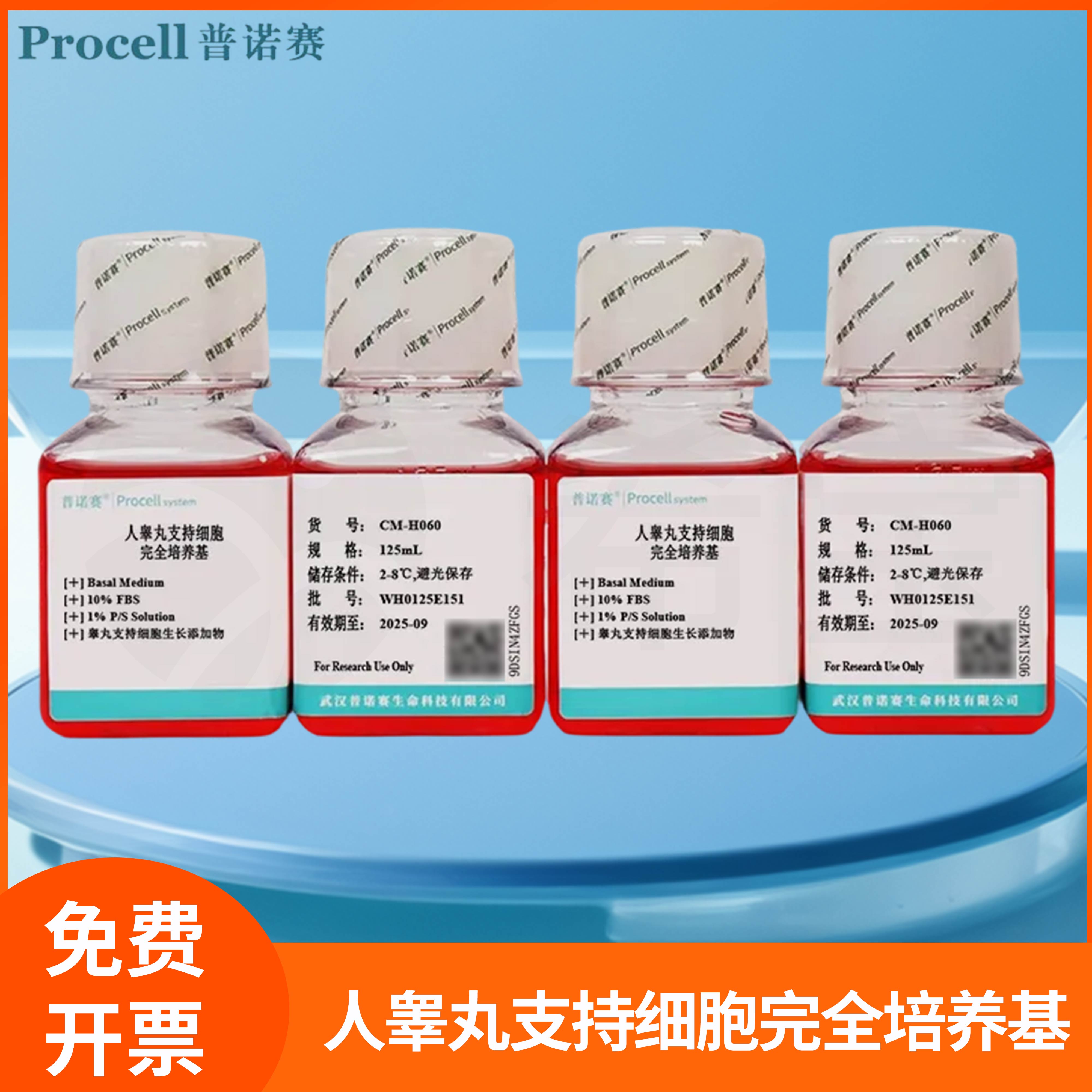 人睾丸支持细胞完全培养基Human Sertoli Cell睾丸细胞基础培养液