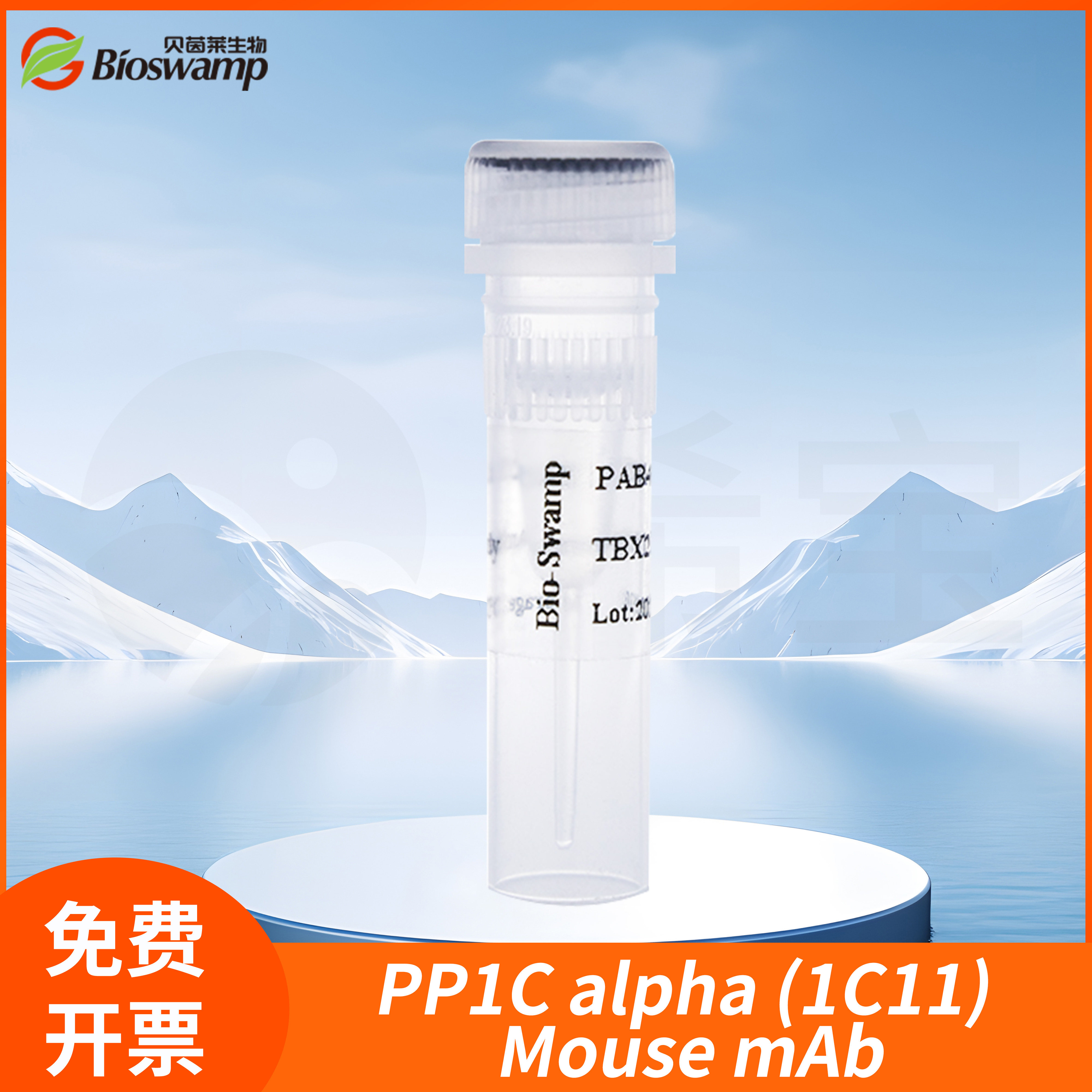 贝茵莱生物PPP1CA Mouse单克隆抗体PP1C alpha (1C11) Mouse mAb