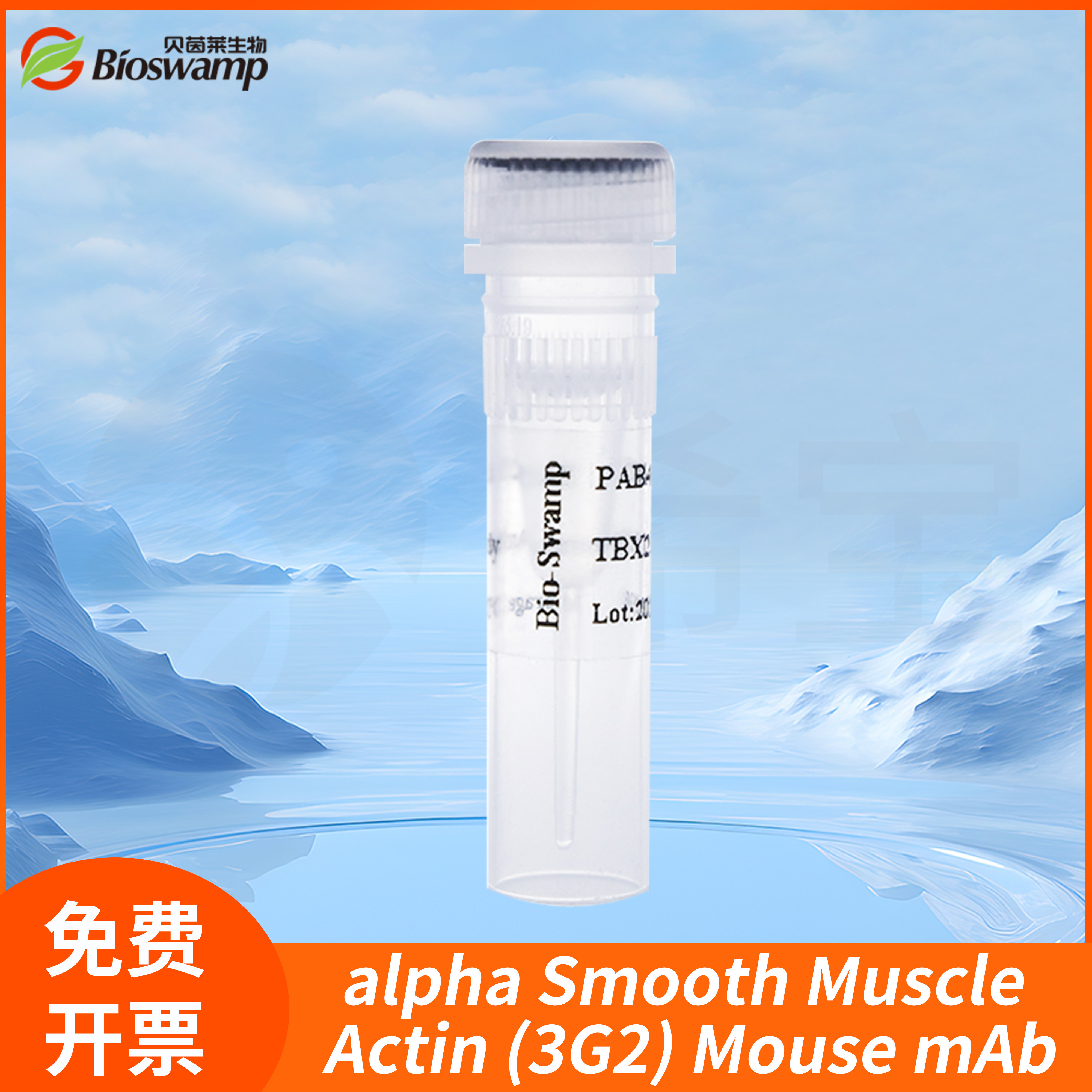 alpha Smooth Muscle Actin (3G2) Mouse mAb ACTA2贝茵莱生物