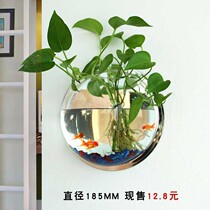  Wall-mounted flower pot Wall-mounted hydroponic creative green dill green plant flower pot wall-mounted wall-mounted wall-mounted round decorative flower transparent