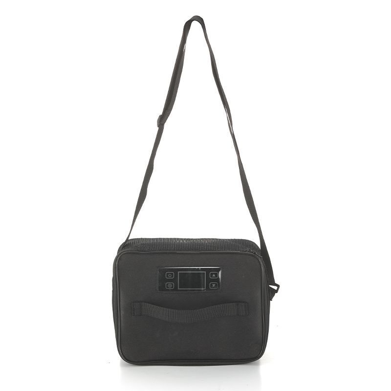 Insulin Refrigerated Box Portable Mini Medicine Carry-On Handbag