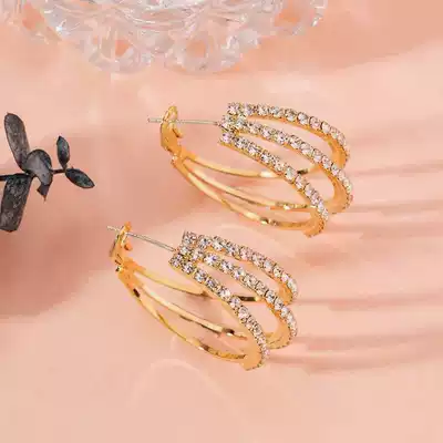 Circle earrings female 2021 New Tide temperament Net red silver high-grade hypoallergenic harbor style retro temperament earrings