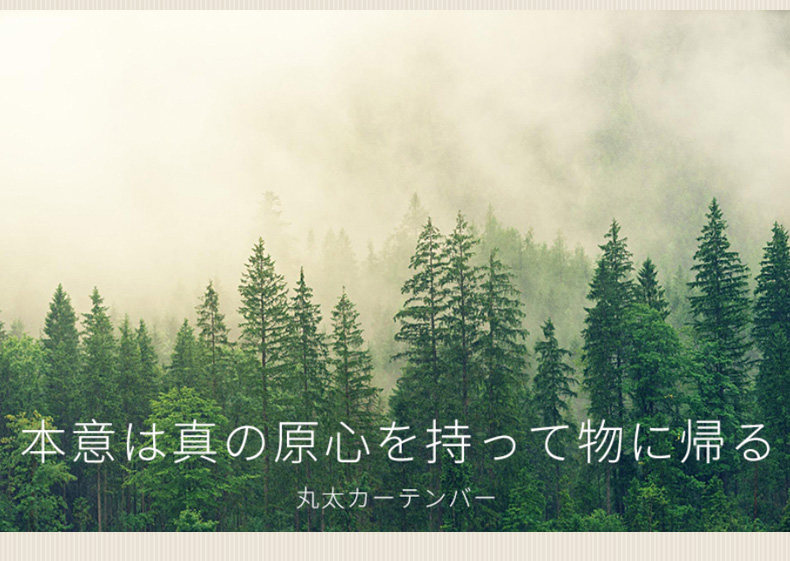 Карниз для штор 日式原木风铝合金加厚罗马杆单双杆侧装顶装全套送支架客厅窗帘杆