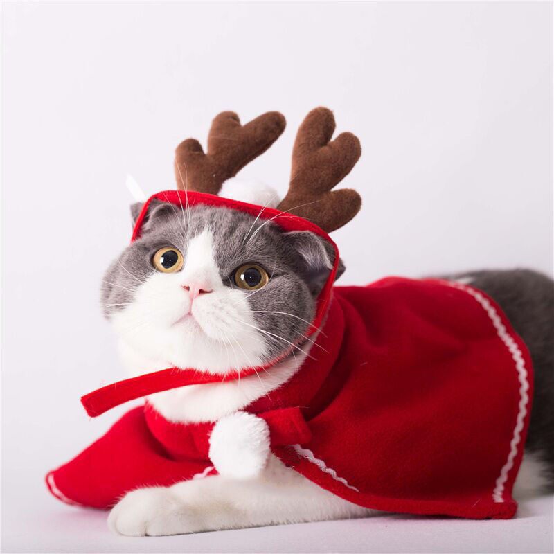 Cat Mimi New Year Dress Festive Festival Dress Hat Headdress Clothes Xiao Mao Kitty Dog Clothes Cloak Pet