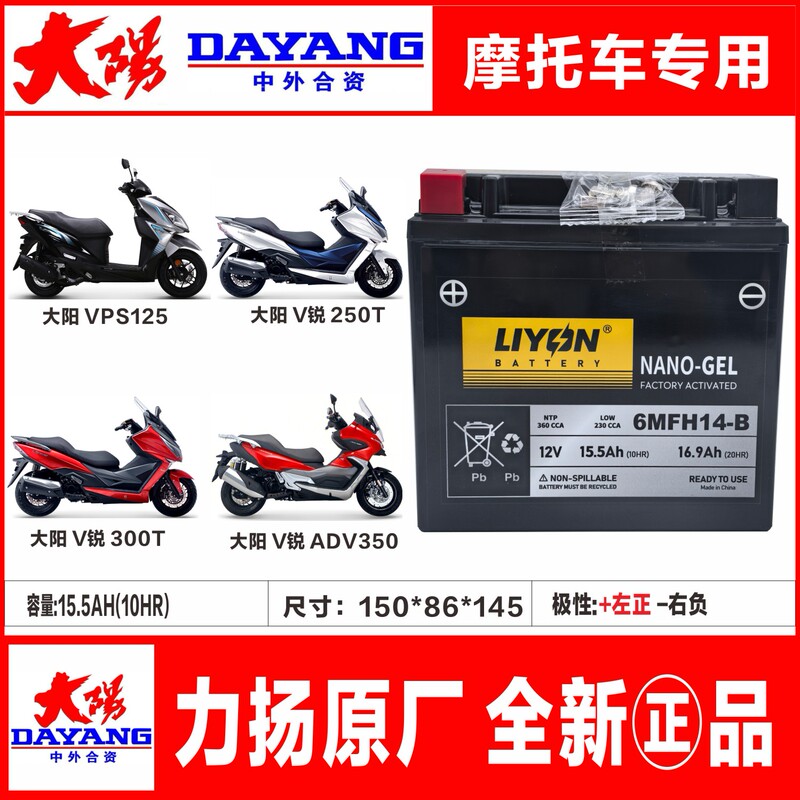 Dayang V-Rui 250t V-Rui 300t Adv350 Vrc150 Vrs125 Vrf150 Motorcycle Battery Dayang V-Rui 250t V-Rui 300t Adv350 Vrc150 Vrs125 Vrf150 Motorcycle Battery