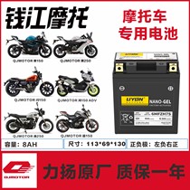 Qianjiang Hong 125 Hong 150CITY Hong 150ADV Hong 250 350 Yi 250 Yi 500 Yi 550 motorcycle battery