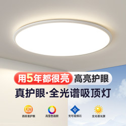 Full Spectrum Eye Protection Bedroom Lamp Modern Simple Led Ceiling Lamp Ultra-Thin 2026 New Model Master Bedroom Room Lighting