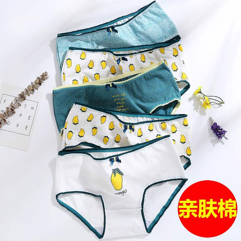 Meat dumplings pattern T318 Girls panties pattern