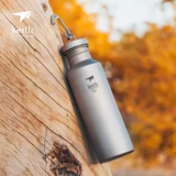 Кейт Кайси титановый чайник