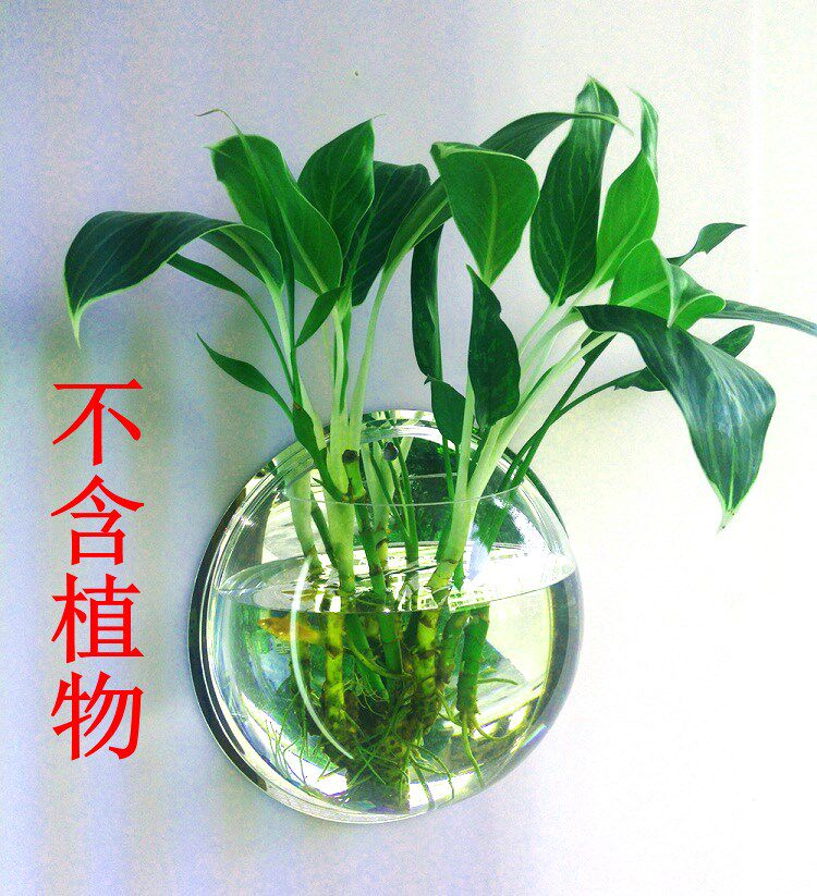 Wall-mounted creative wall integrated flower pot glass mesh red decoration indoor wall hanging wall swing piece wall