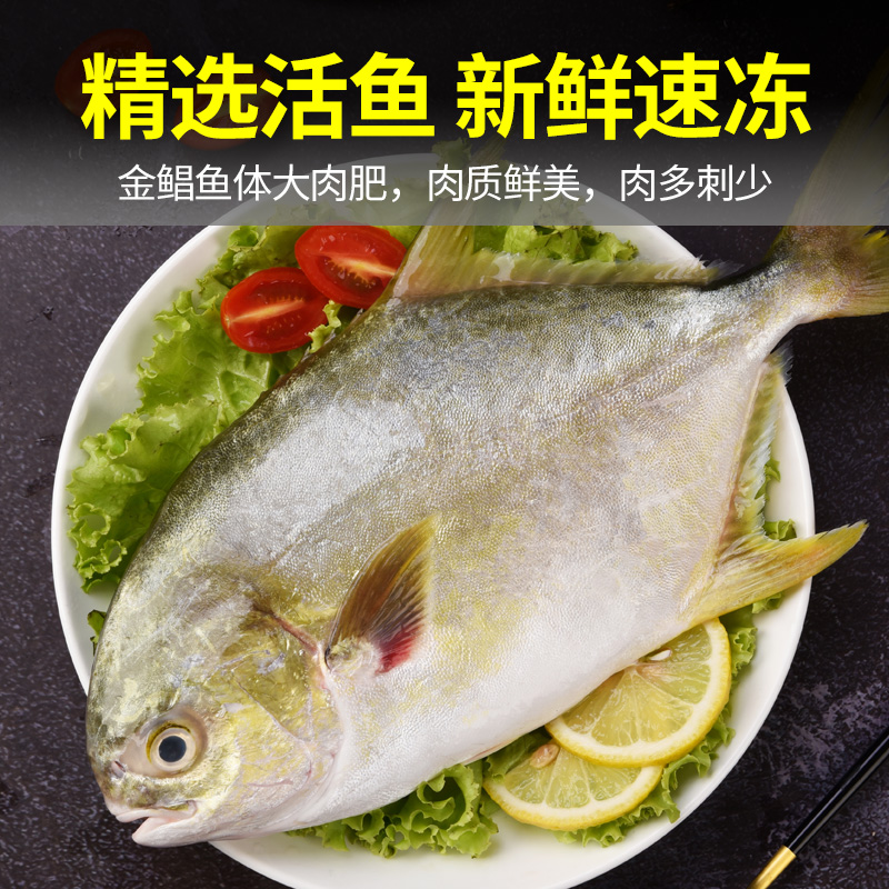 舟山野生银鲳鱼4斤装，冰鲜还是冷冻？真相来了！