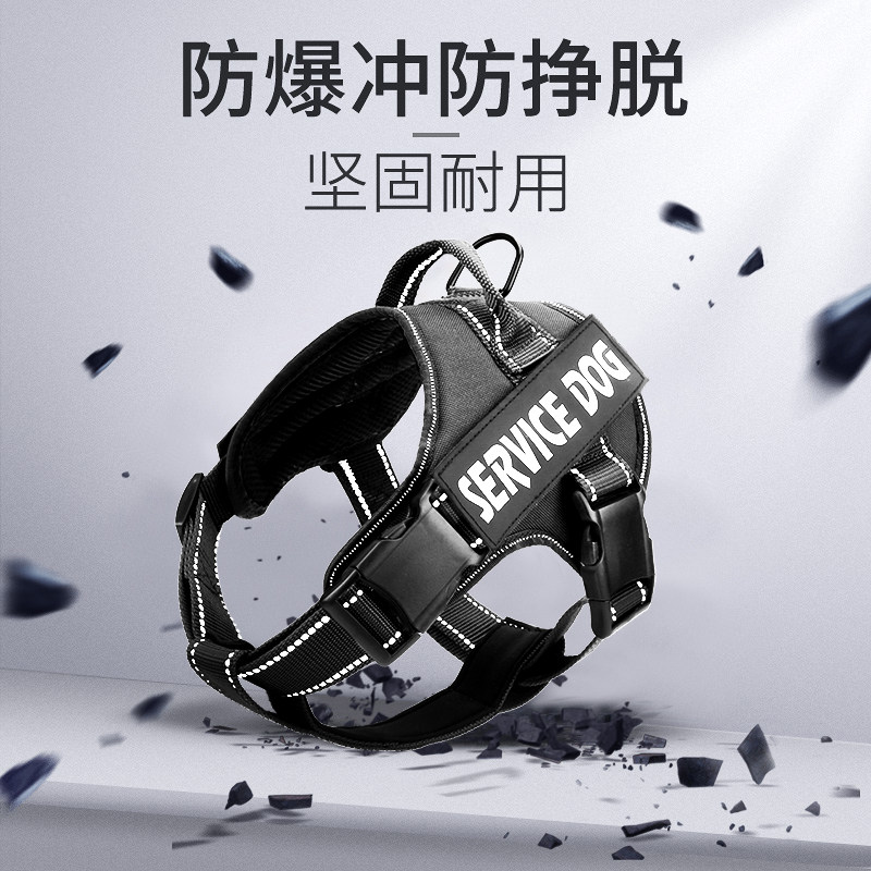 Dogs traction rope large canine anti-bursting dog cuddling bag small medium firewood dog gold wool walking dog rope chain Sub-pasta