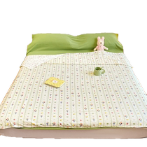Catman foam cotton dirt-proof sleeping bag for business trips and hotel bed sheets and quilt covers portable all-in-one dirt-proof four-piece set