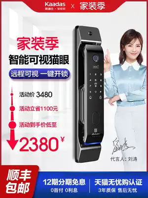 Cadiz fingerprint lock home security door visual cat eye smart lock with surveillance camera lens Lamboro Gini 1990