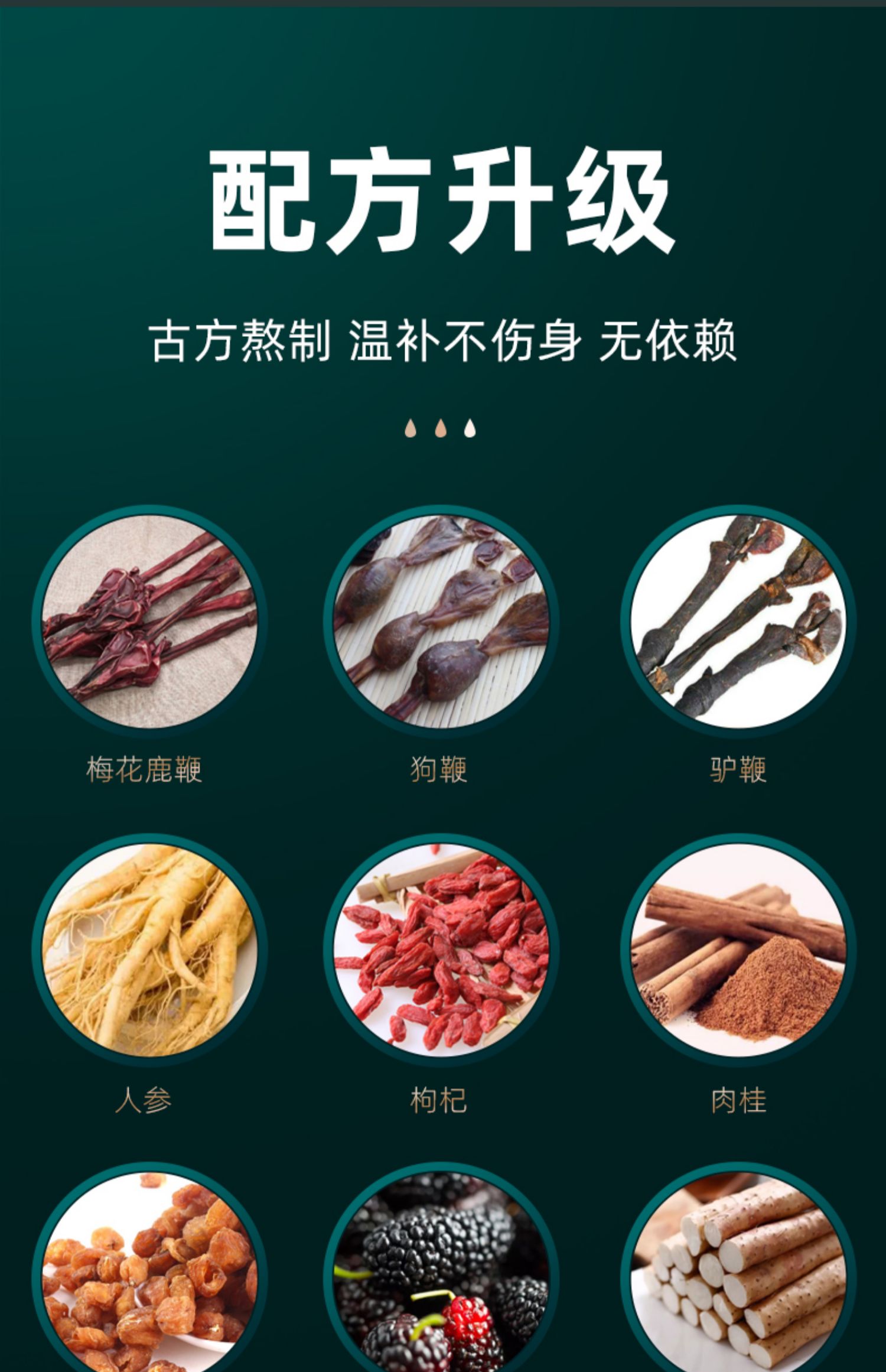 【鹿乡直营】人参鹿鞭膏滋补品