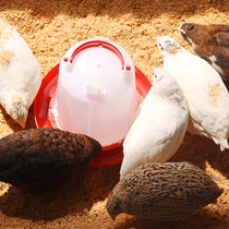 Rutin chicken feeder trough food bowl Luding chicken feeding chicken chicken trough anti-spreading rutin chicken feeding chicken food basin