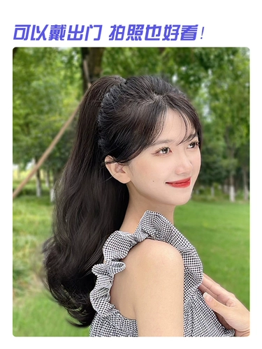 Парик, хвостик, заколка-крабик, популярно в интернете