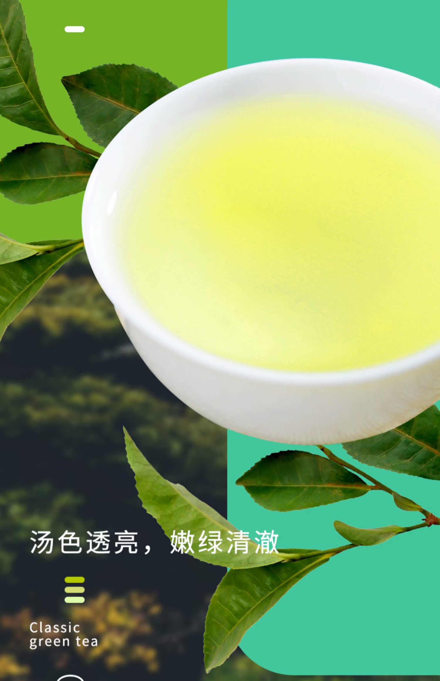 龙都博宝2021新茶银针绿茶120g