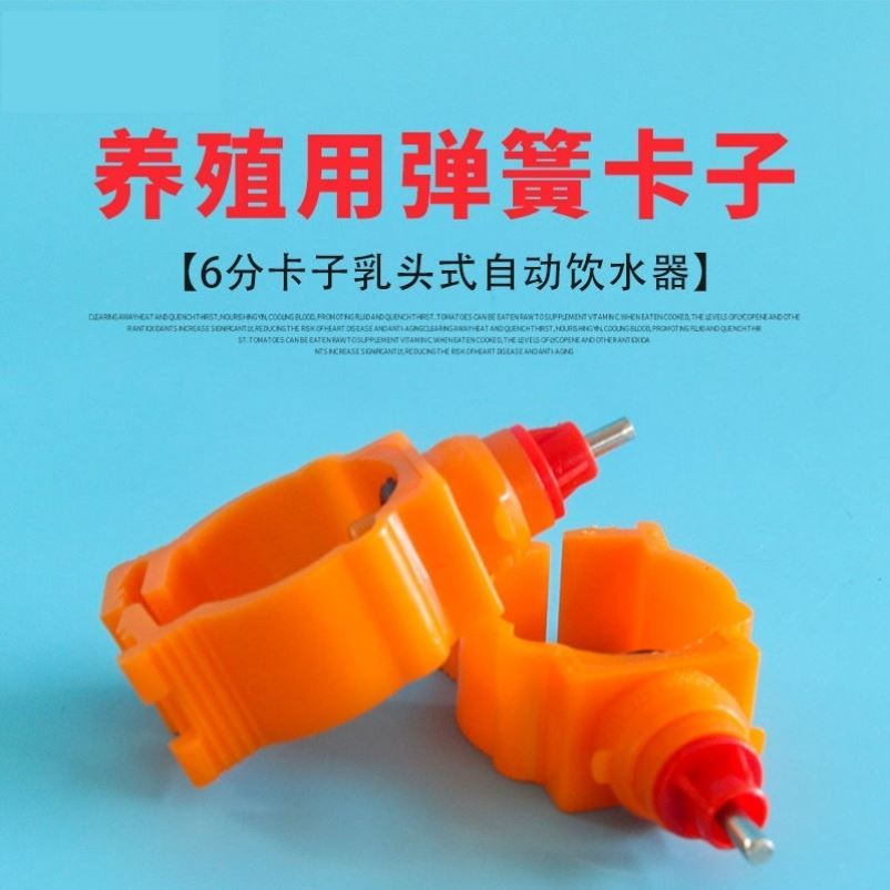 Chicken spring water drinker chicken with automatic spring water powder with spring water drinking chicken nipple drinking water