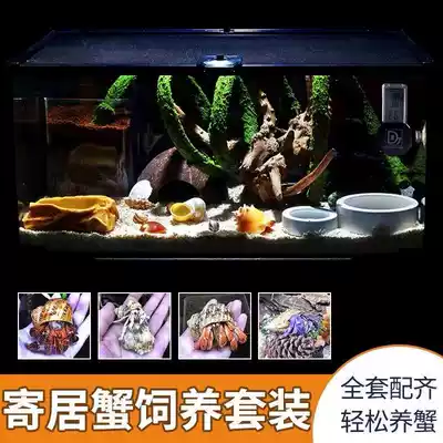 Hermit crab full set of feeding box package large novice set landscaping special luxury feeding box to send hermit crab