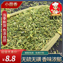 Authentic Gansu premium fennel seasoning 500g sulfur-free spice stew meat marinade household dry goods fresh beaten powder