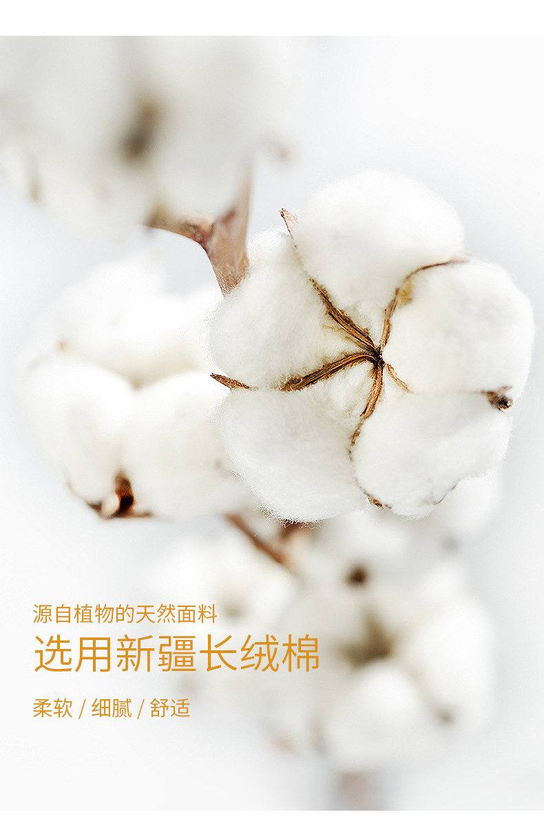雪中飞  男士纯色长绒棉宽松圆领长袖卫衣 图2