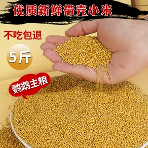 Попугайная кормление долины птичья пища желтые раковины Xiaomi Bird Food Peony Tiger Skin Phoenix Pearl Bird 5 фунтов Специальное зерно