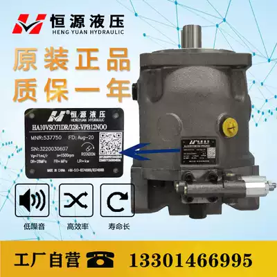 Hengyuan Hydraulic HA10VSO18 28 45 71 100DR 31R-PPA12N00 High pressure axial piston pump