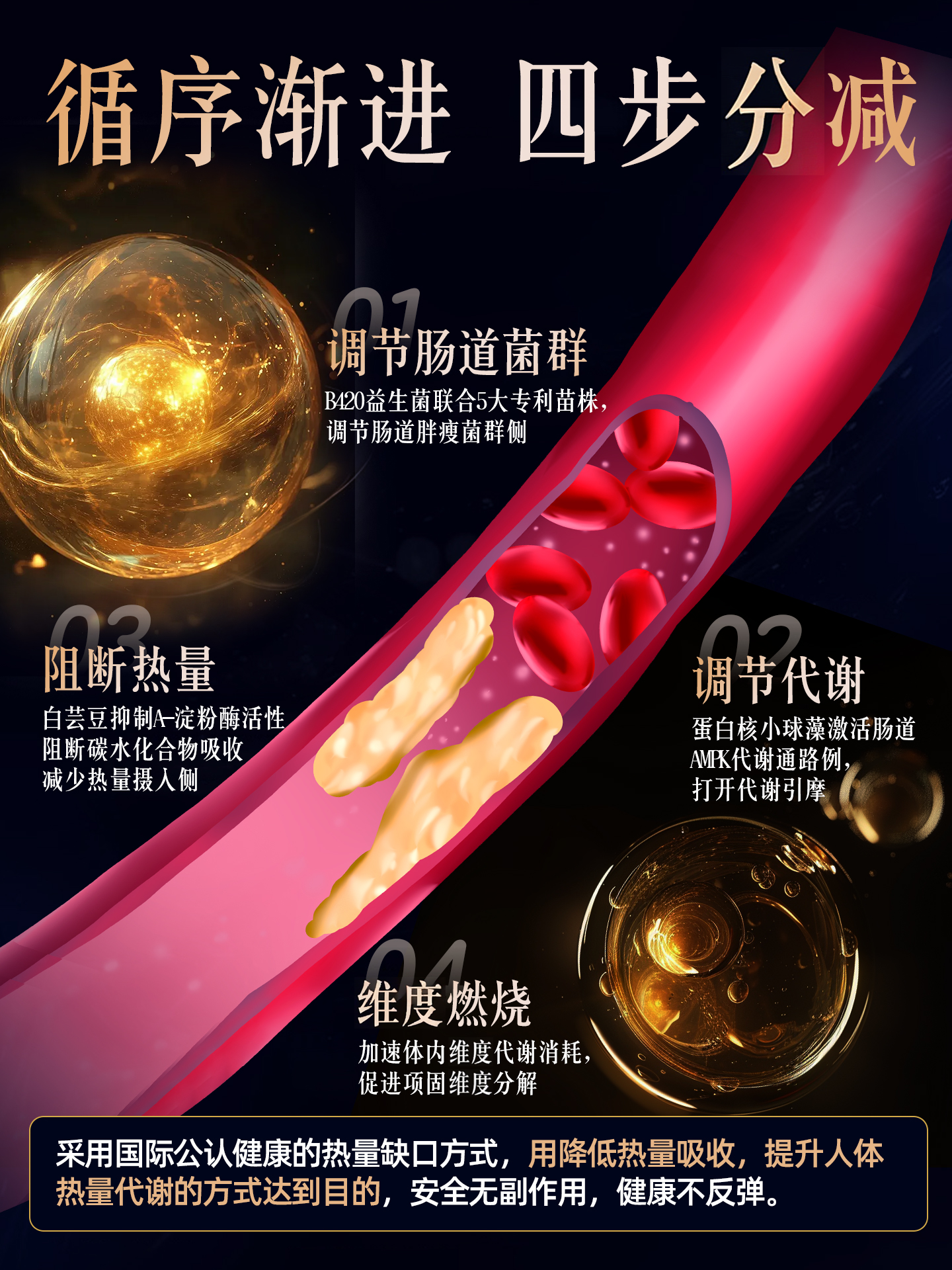 Jiangzhong Weight Management B420 Slim Probiotics Freeze-Dried Powder Regulates the Intestines and Constipation, Improves Metabolism, Female S-Type