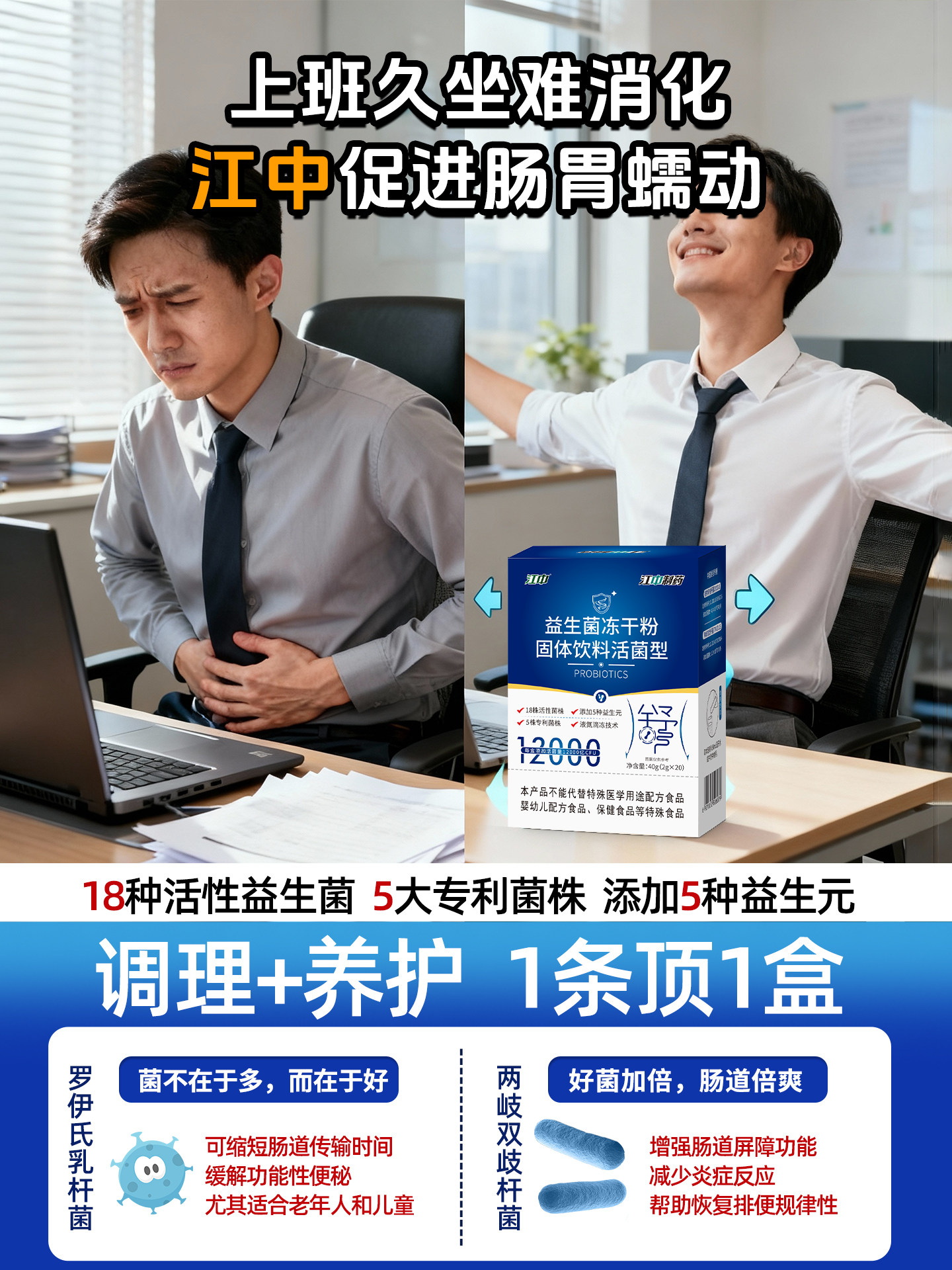 Probiotic Freeze-Dried Powder for Long-Term Sitting, Suitable for Adult Women with Constipation, Regulates the Intestines, Aids Gastrointestinal Movement, and Is Beneficial for Office Workers