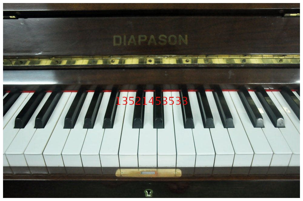 Hitachi DIAPASON DIAPASON 132-BS real picture shooting