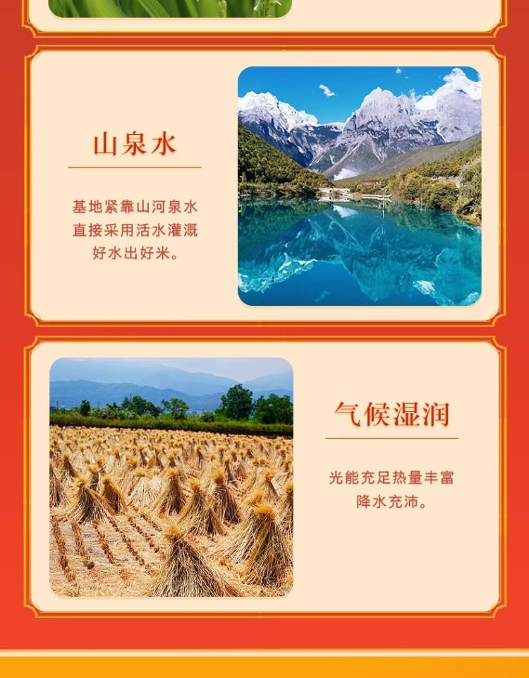 安享好物 安享D级粳米-谷米集长粒香米 行标 
