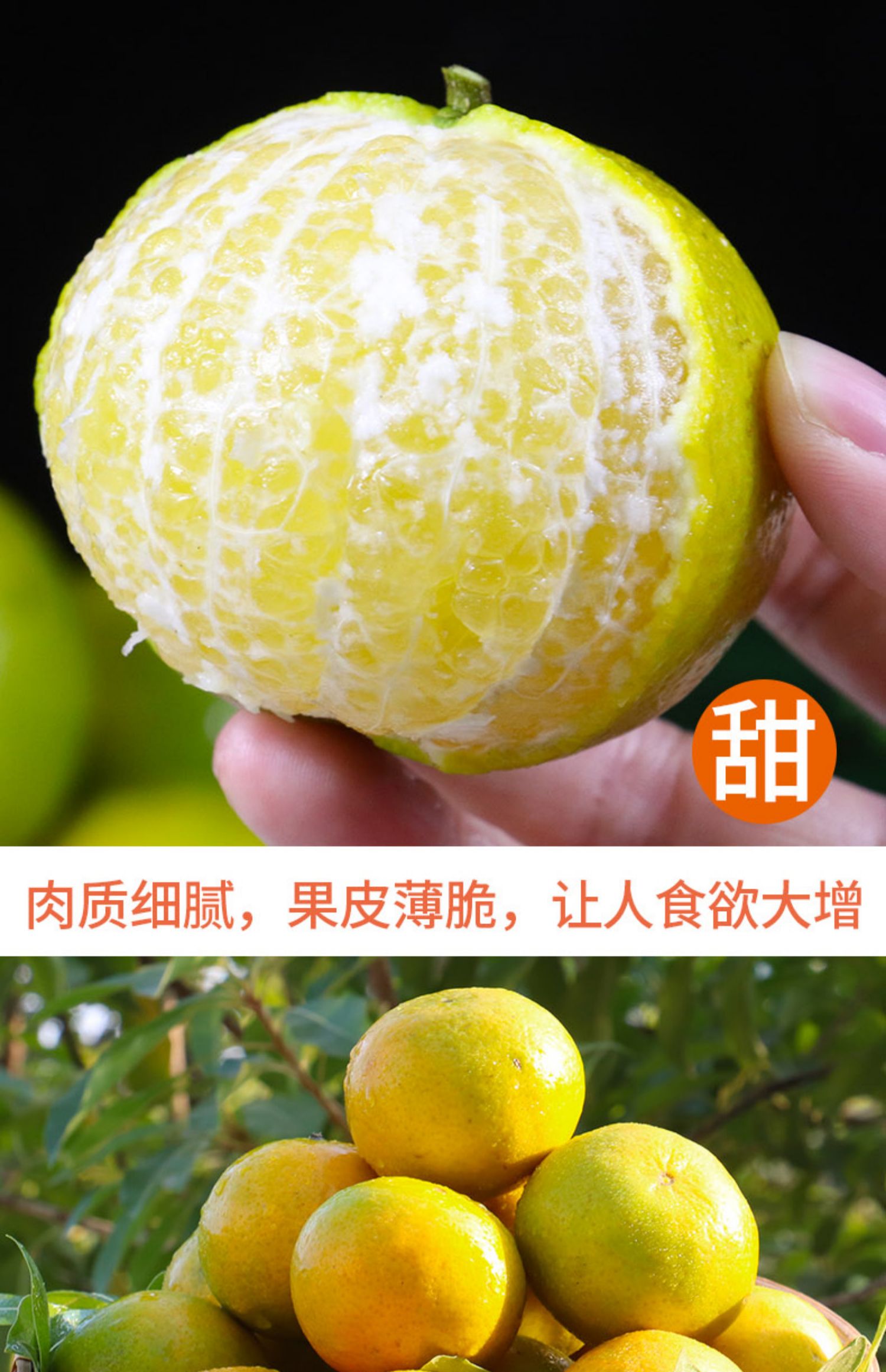 【味巷】新鲜水广西皇帝柑5斤装