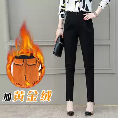 Purple coral women's pants factory store autumn and winter slim-fit all-match thin plus velvet harem pants shake sound hot sale simple flame